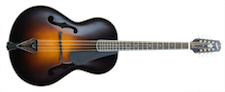 Weber Fine Acoustic Instruments Presents the Octar