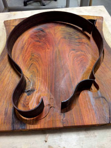 Custom Instrument Profile: Cocobolo Yellowstone F Mandolin